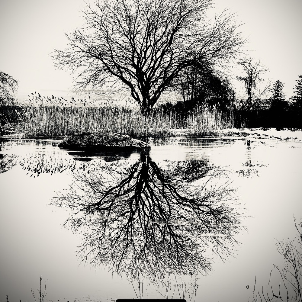 Original photographs from HudsonValley